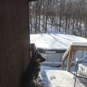 Meet your Posher, Angie